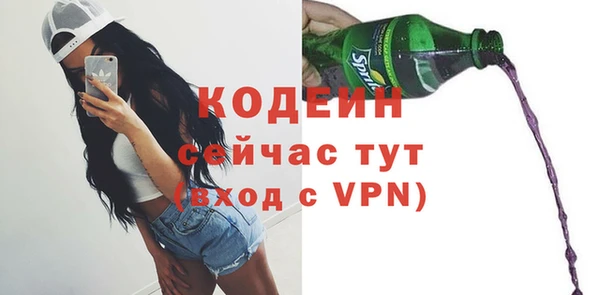 дмт Новозыбков