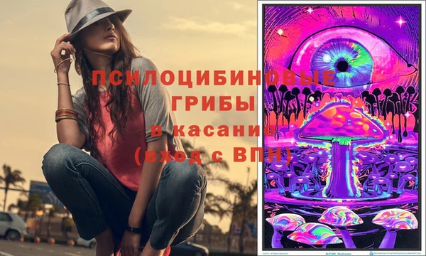 дмт Новозыбков