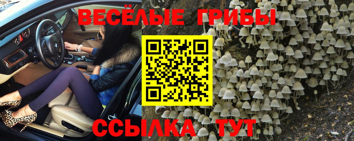 Галлюциногенные грибы прущие грибы Северобайкальск