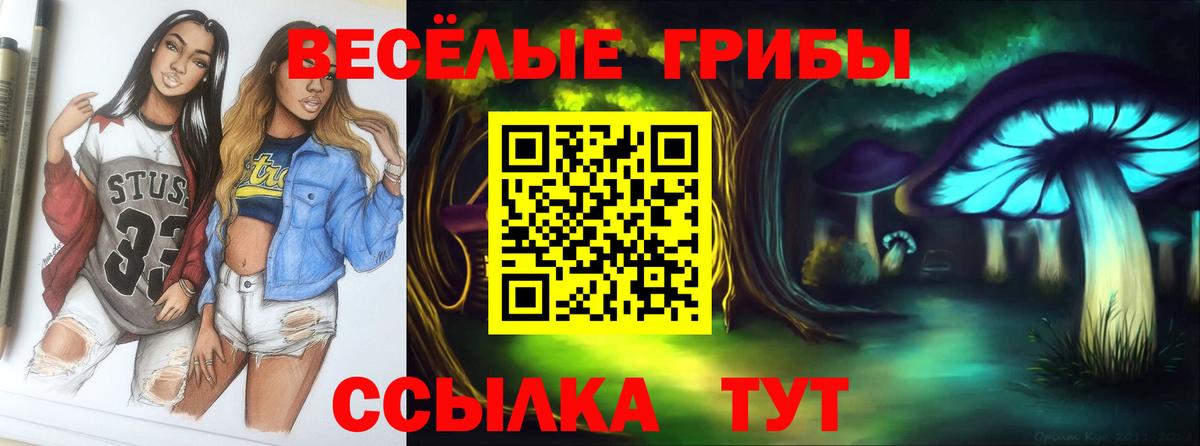 Псилоцибиновые грибы Cubensis  Вход с VPN  где найти   Северобайкальск 